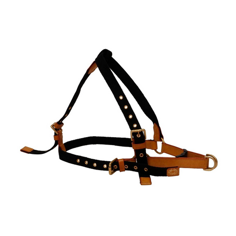 V.L - AIR FLOW - HARNESS