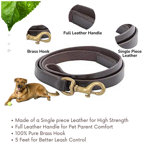 V.L - LEASH - For Both Dog & Cat