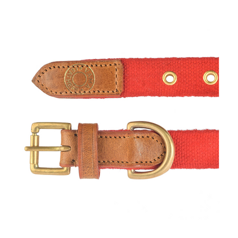 V.L - MARTINGALE - COLLAR