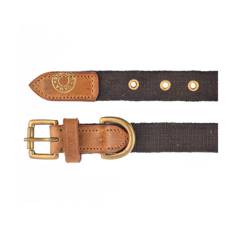 V.L - MARTINGALE - COLLAR