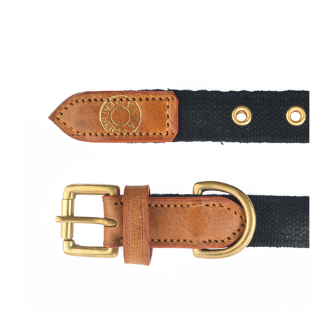 V.L - MARTINGALE - COLLAR