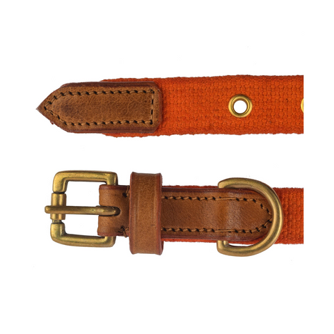 V.L - MARTINGALE - COLLAR