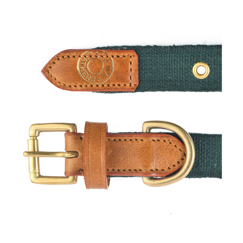 V.L - MARTINGALE - COLLAR