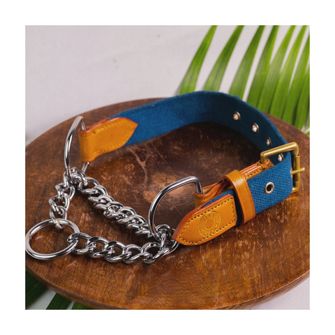 V.L - MARTINGALE - COLLAR