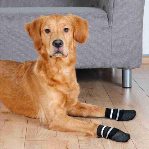 Trixie - all - round non - slip rubber coating - Dog Socks