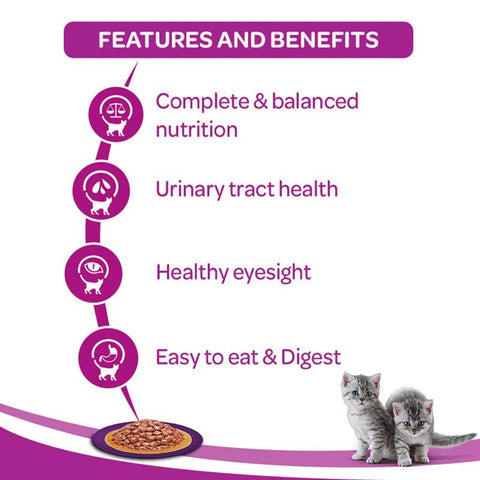 Whiskas Kitten 2-12 months Chicken in Gravy Wet Cat Food